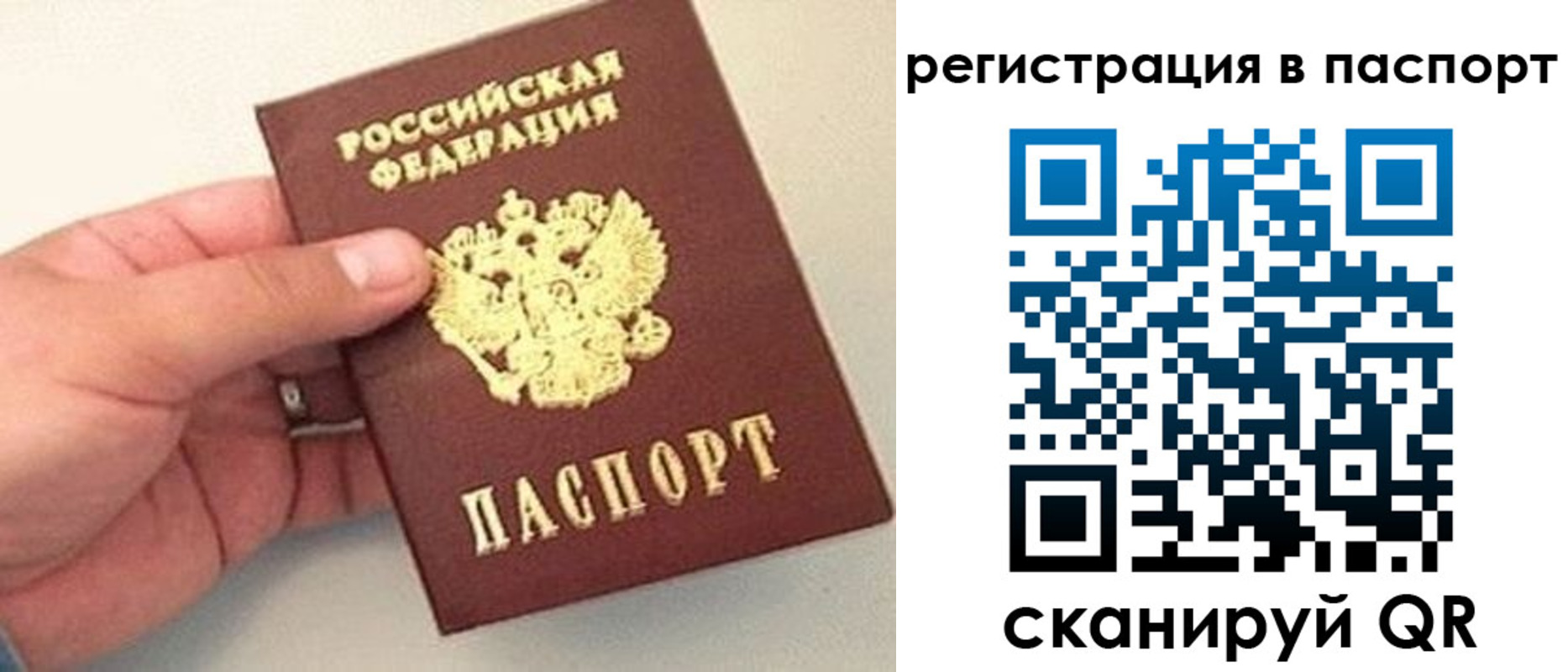 прописка законно в Полярных Зорях